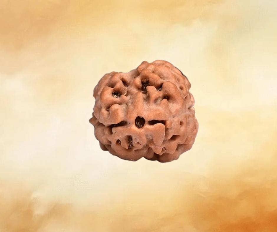 2 Mukhi